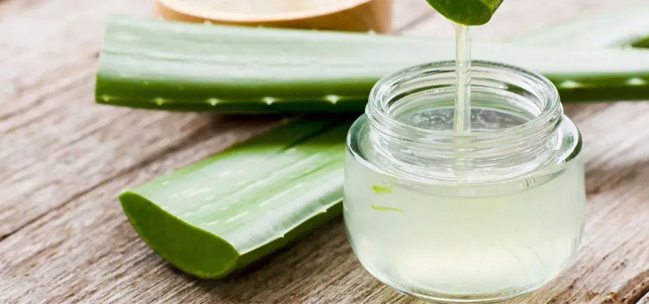 Frische Aloe Vera Blätter und ein Glas mit klarem Saft, der gerade aus einem Blatt getropft wird. Perfekt, um aloe vera saft selber machen.