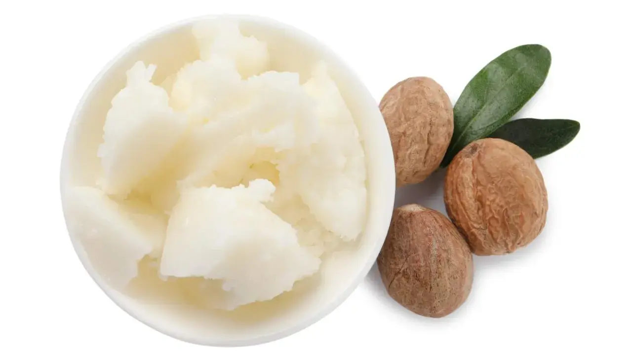 Schüssel mit weißer Sheabutter, dane drei Nüsse und zwei grüne Blätter. Manche empfinden Sheabutter als komedogen.