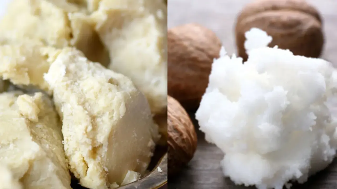 Vergleich von unraffinierter und raffinierter Sheabutter. Bei der raffinierten Variante sind die Nüsse sichtbar. Selten sind sheabutter nebenwirkungen.
