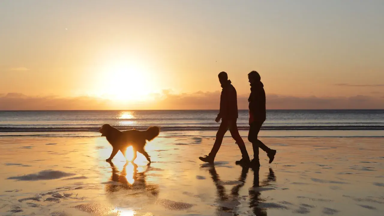 Zwei Menschen und ein Hund genießen einen spaziergang nach dem essen am Strand bei Sonnenuntergang.