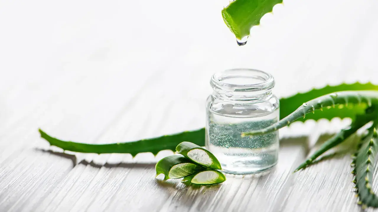 Frisches Aloe Vera Gel tropft in ein Glasfläschchen. Ob man Aloe Vera Gel abwaschen muss, hängt von der Anwendung ab.