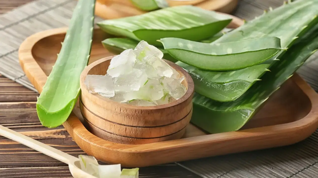 Frisch geschnittene aloe vera pflanze schneiden: grüne Blätter und Gelwürfel in Holzschale und Löffel.
