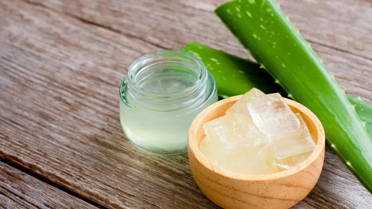 Frische Aloe Vera Blätter, Gel und Stücke in einer Holzschale, bereit für Aloe Vera Rezepte Kosmetik.