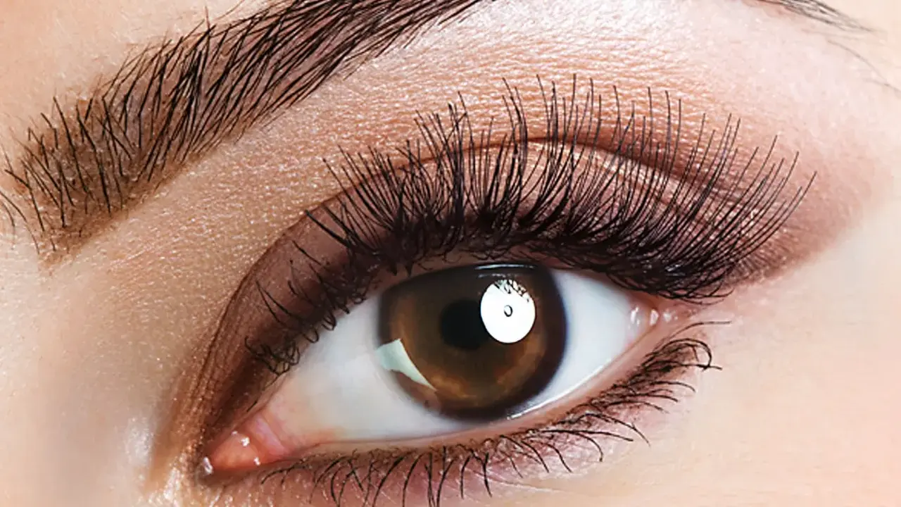 Ein braunes Auge mit langen Wimpern und geraden Augenbrauen, das einen verführerischen Blick wirft.