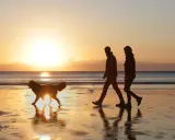 Zwei Menschen und ein Hund genießen einen spaziergang nach dem essen am Strand bei Sonnenuntergang.
