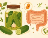Essiggurken sind gesund! Ein Glas eingelegter Gurken, Knoblauch und ein lächelndes Bakterium neben einem Darm zeigen, wie gut sie für die Verdauung sind.
