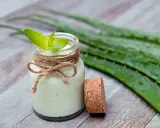 Selbstgemachte aloe vera creme in einem Glas mit frischen Aloe-Blättern.