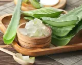 Frisch geschnittene aloe vera pflanze schneiden: grüne Blätter und Gelwürfel in Holzschale und Löffel.