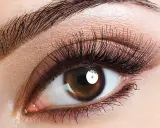 Ein braunes Auge mit langen Wimpern und geraden Augenbrauen, das einen verführerischen Blick wirft.