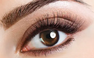 Ein braunes Auge mit langen Wimpern und geraden Augenbrauen, das einen verführerischen Blick wirft.