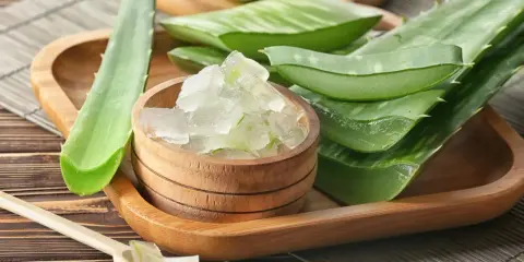 Frisch geschnittene aloe vera pflanze schneiden: grüne Blätter und Gelwürfel in Holzschale und Löffel.