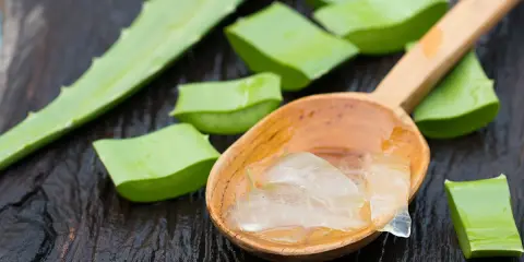 Frische Aloe Vera Stücke und Gel auf einem Holzlöffel. Perfekt für die Haarpflege.