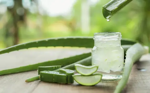 Frisches Aloe Vera Gel tropft in ein Glas. Die natürliche aloe vera wirkung haut wird durch die aufgeschnittenen Pflanzenstücke und das klare Gel betont.