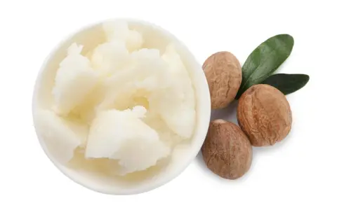 Schüssel mit weißer Sheabutter, dane drei Nüsse und zwei grüne Blätter. Manche empfinden Sheabutter als komedogen.