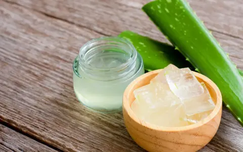 Frische Aloe Vera Blätter, Gel und Stücke in einer Holzschale, bereit für Aloe Vera Rezepte Kosmetik.