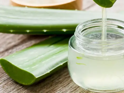 Frische Aloe Vera Blätter und ein Glas mit klarem Saft, der gerade aus einem Blatt getropft wird. Perfekt, um aloe vera saft selber machen.