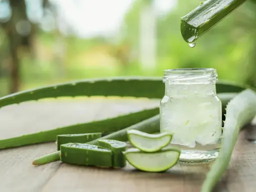 Frisches Aloe Vera Gel tropft in ein Glas. Die natürliche aloe vera wirkung haut wird durch die aufgeschnittenen Pflanzenstücke und das klare Gel betont.
