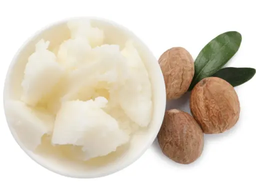 Schüssel mit weißer Sheabutter, dane drei Nüsse und zwei grüne Blätter. Manche empfinden Sheabutter als komedogen.