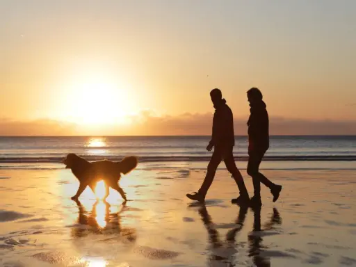 Zwei Menschen und ein Hund genießen einen spaziergang nach dem essen am Strand bei Sonnenuntergang.
