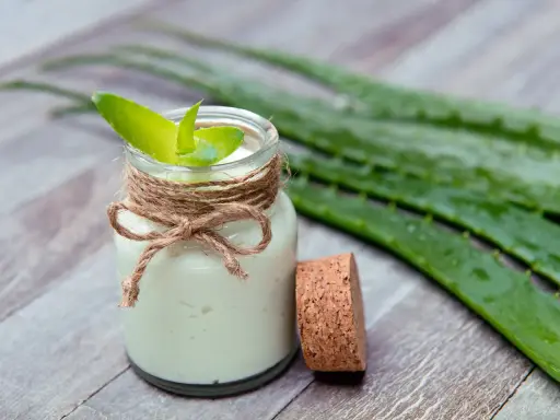 Selbstgemachte aloe vera creme in einem Glas mit frischen Aloe-Blättern.