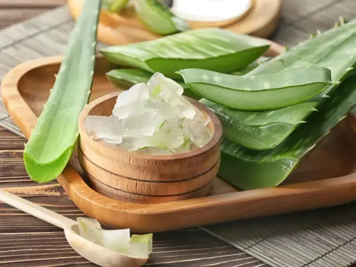 Frisch geschnittene aloe vera pflanze schneiden: grüne Blätter und Gelwürfel in Holzschale und Löffel.