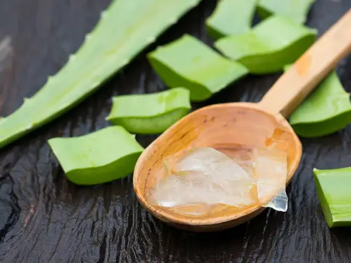 Frische Aloe Vera Stücke und Gel auf einem Holzlöffel. Perfekt für die Haarpflege.