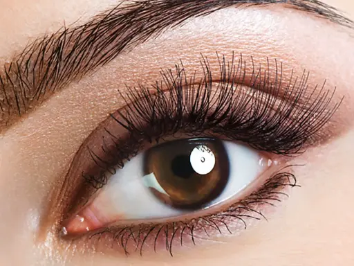 Ein braunes Auge mit langen Wimpern und geraden Augenbrauen, das einen verführerischen Blick wirft.