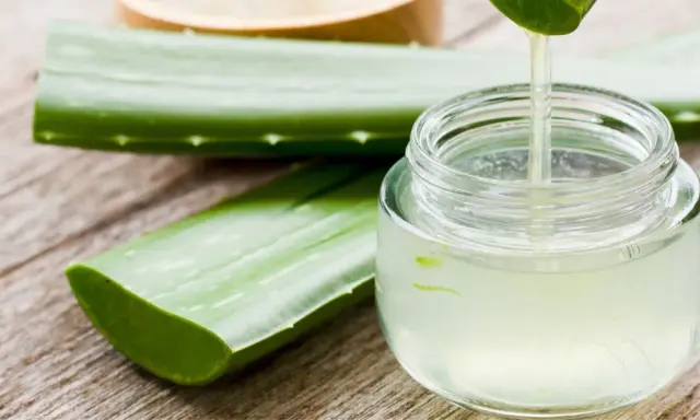Frische Aloe Vera Blätter und ein Glas mit klarem Saft, der gerade aus einem Blatt getropft wird. Perfekt, um aloe vera saft selber machen.