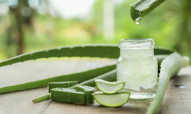 Frisches Aloe Vera Gel tropft in ein Glas. Die natürliche aloe vera wirkung haut wird durch die aufgeschnittenen Pflanzenstücke und das klare Gel betont.