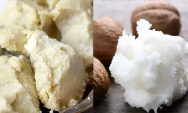 Vergleich von unraffinierter und raffinierter Sheabutter. Bei der raffinierten Variante sind die Nüsse sichtbar. Selten sind sheabutter nebenwirkungen.