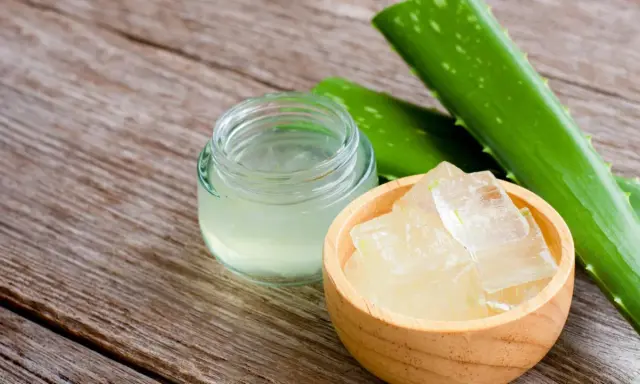 Frische Aloe Vera Blätter, Gel und Stücke in einer Holzschale, bereit für Aloe Vera Rezepte Kosmetik.