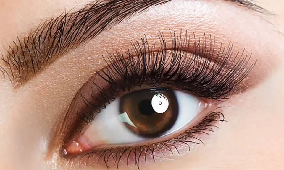 Ein braunes Auge mit langen Wimpern und geraden Augenbrauen, das einen verführerischen Blick wirft.
