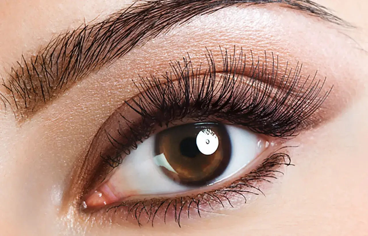 Ein braunes Auge mit langen Wimpern und geraden Augenbrauen, das einen verführerischen Blick wirft.