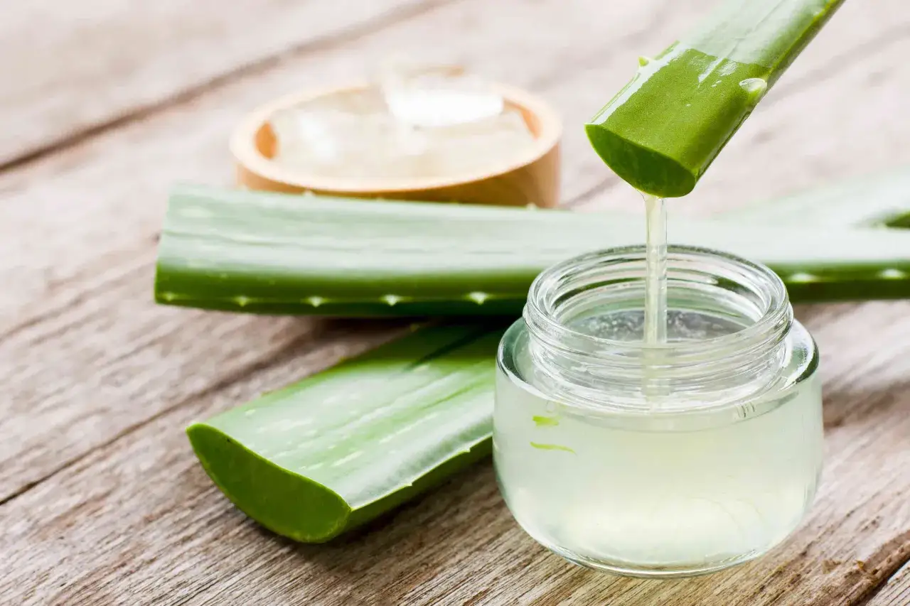 Frische Aloe Vera Bl&auml;tter tropfen ihren Saft in ein Glas. So einfach kann man aloe vera saft selber machen.