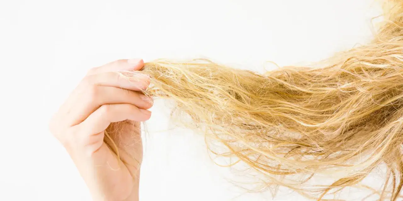Eine Hand h&auml;lt eine Str&auml;hne hellblonder, trockener Haare. Die Spitzen sind ausgefranst und wirken strohig.