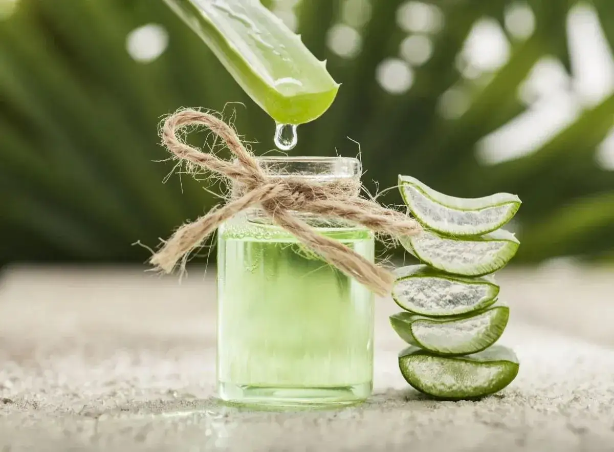 Ein Tropfen Aloe Vera Gel f&auml;llt aus einem Blatt in ein kleines Glasfl&auml;schchen. Daneben stapeln sich Aloe Vera Scheiben &ndash; perfekt f&uuml;r die Haarpflege.