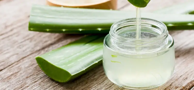 Frische Aloe Vera Blätter und ein Glas mit klarem Saft, der gerade aus einem Blatt getropft wird. Perfekt, um aloe vera saft selber machen.